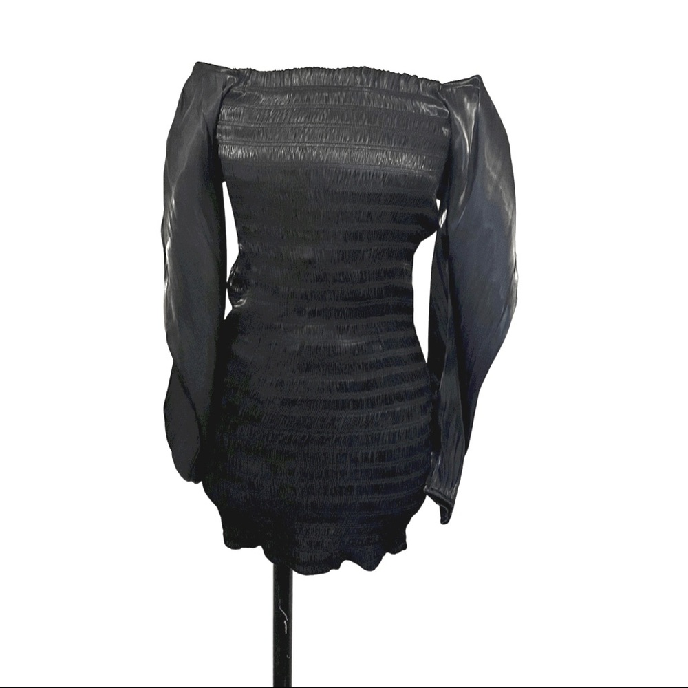 Sheer Sleeved Mini Dress